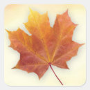 Search for thankful thanksgiving stickers Birthday