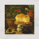 Recherche de belgie invitations Belge