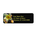 Search for frangipani return address labels Yellow