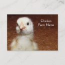 Recherche de petit poulet cartes visite Agriculteur