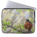 Search for american robin electronics Nature