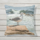 Search for seagull pillows birds
