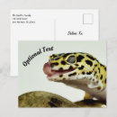 Recherche de taches léopard cartes postales Faune