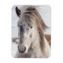 Recherche de tête de cheval magnets Poney