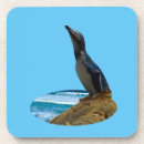 Recherche de oiseaux marins dessous de verres Maritime