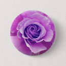Recherche de rose pourpre badges Floral