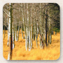 Search for aspen barware Arizona