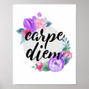 Recherche de carpe posters Typographie