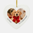 Search for retriever ornaments Dog's first christmas