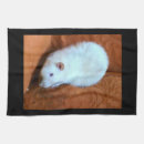 Search for snowball White