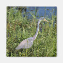 Search for large decorative magnets Souvenir