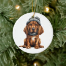 Search for bloodhound ornaments Pet