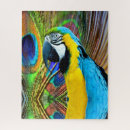 Recherche de perroquets sauvages puzzles Coloré