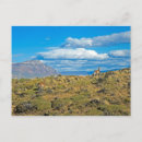 Search for patagonia postcards Outdoors
