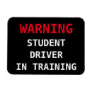 Search for new driver magnets Car