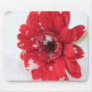 Search for red gerbera electronics Floral