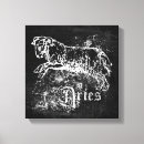 Search for aries canvas prints Astrology