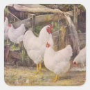 Search for vintage farm stickers Rooster