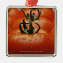 Search for tomato ornaments Freshness