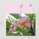 Recherche de fleur gingembre cartes postales Vert