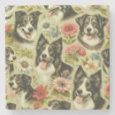 Search for border collie coasters Dogs