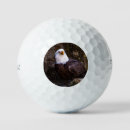 Search for eagle golf balls Wildlife