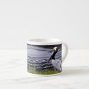 Search for pelican Water
