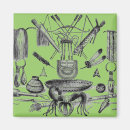 Search for artifacts magnets Indian