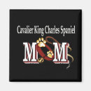 Recherche de cavaliers magnets Cavaliking king
