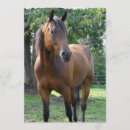 Recherche de pur sang invitations Cheval