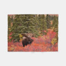 Search for moose blankets Alaska