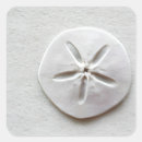 Search for sand dollars stickers Coastal