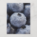 Search for medium group of objects postcards No people