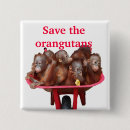 Search for conservation square buttons Animals