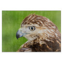 Recherche de rapace planches à découper Faune