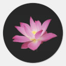 Recherche de lotus rose autocollants Amour