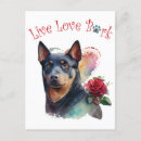 Recherche de kelpie Chiot