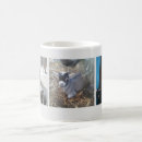 Recherche de pygmée tasses Mignon