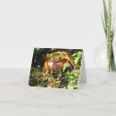 Search for irish cards St patrick's day