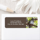 Search for birds on a branch return address labels Wildlife
