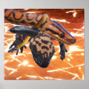 Search for reptile posters Snakes