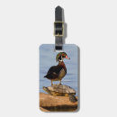 Recherche de aix accessoires Barboter