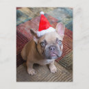 Recherche de french christmas cartes postales Dog