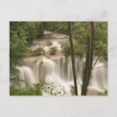 Search for mae postcards Thailand