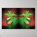 Search for tiny posters Floral