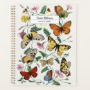 Search for butterfly planners Wildlife