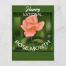 Recherche de mois cartes postales Rose