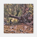 Search for beautiful spring magnets Photography