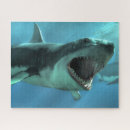 Search for scuba puzzles Sea