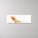 Recherche de blooded art La belgique